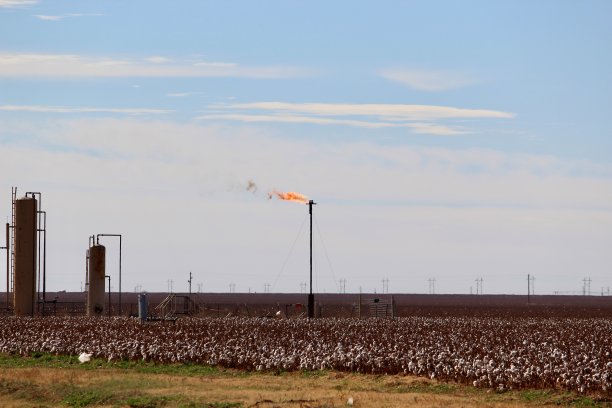 texas