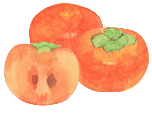 白底上的甜柿子