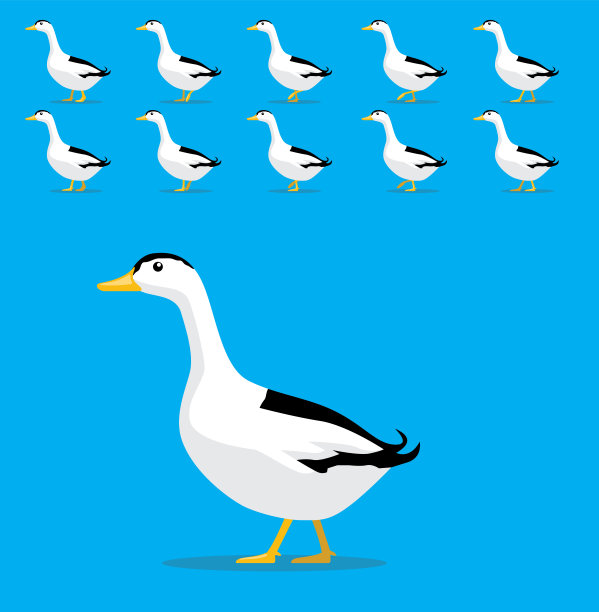 连续性,鹊,矢量,鸭子,卡通,动物,农业,垂直画幅,边框,图像