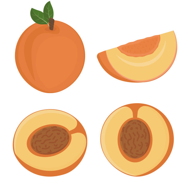 nectarines
