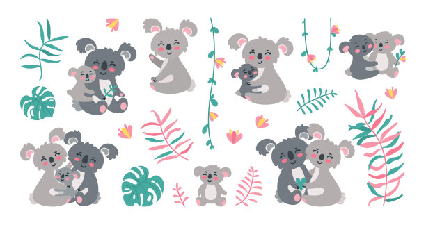 koala