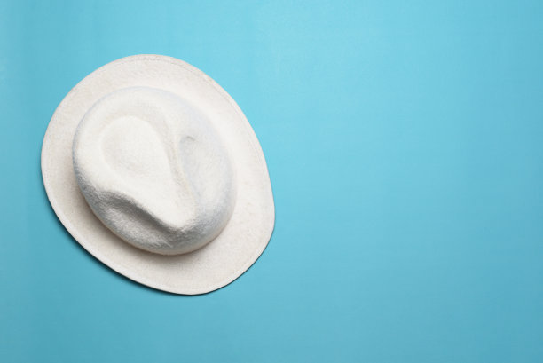 bonnet