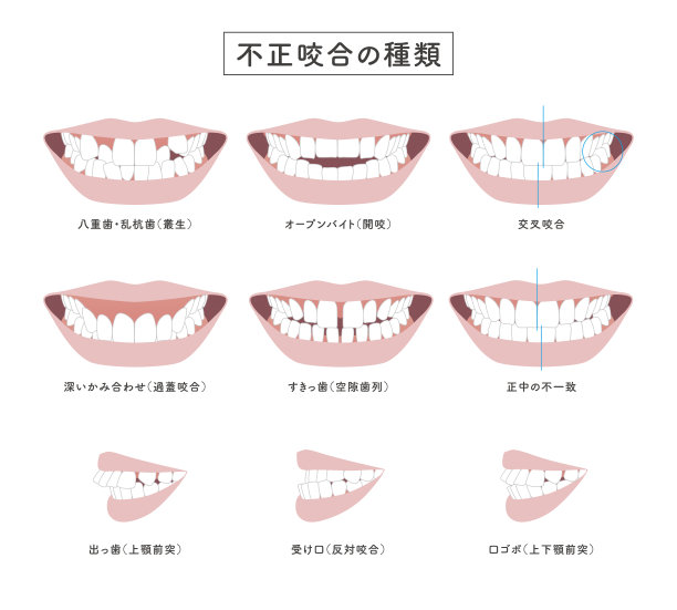 teeth