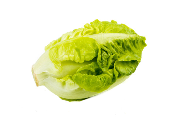 romaine