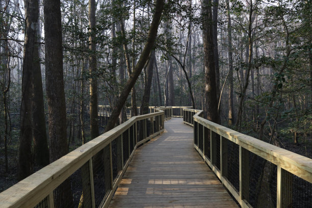 boardwalk