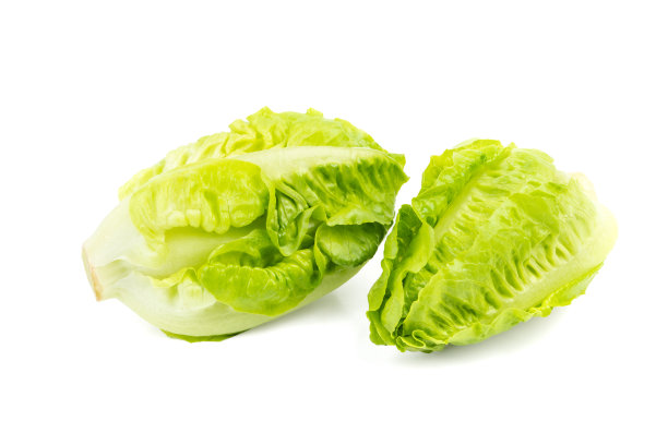 romaine
