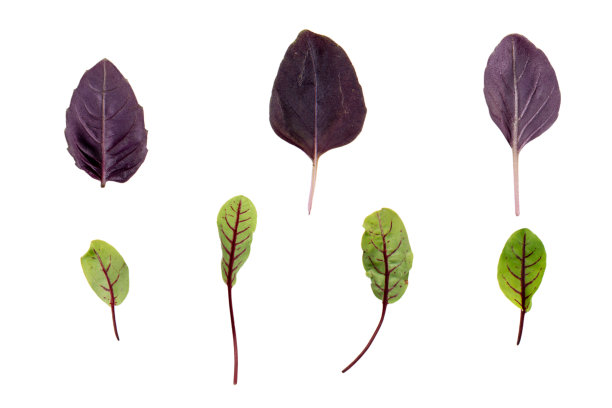 garnish