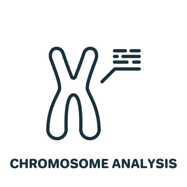 chromosone
