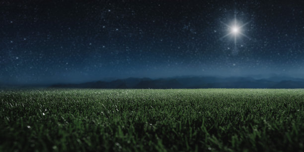 grass