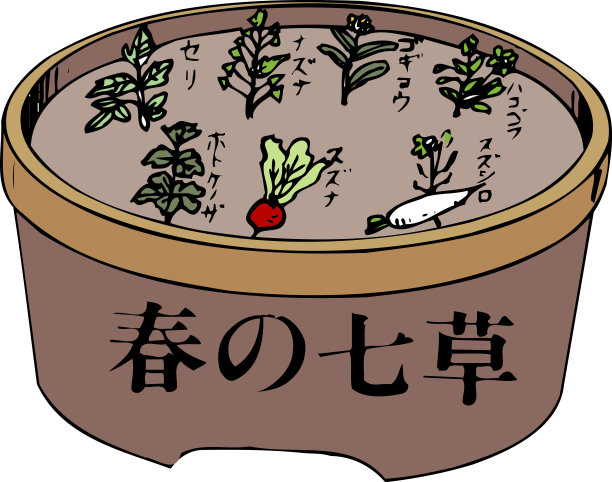 传统,蔬菜,日本食品