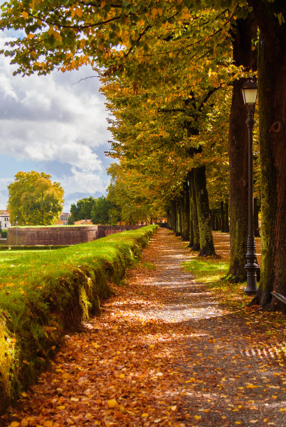 lucca