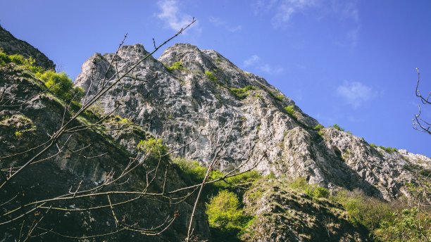 峡谷风光峭壁绿植蓝天