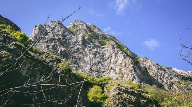 峡谷风光峭壁绿植蓝天