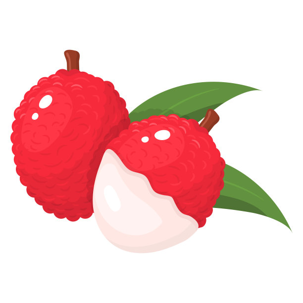 荔枝插画