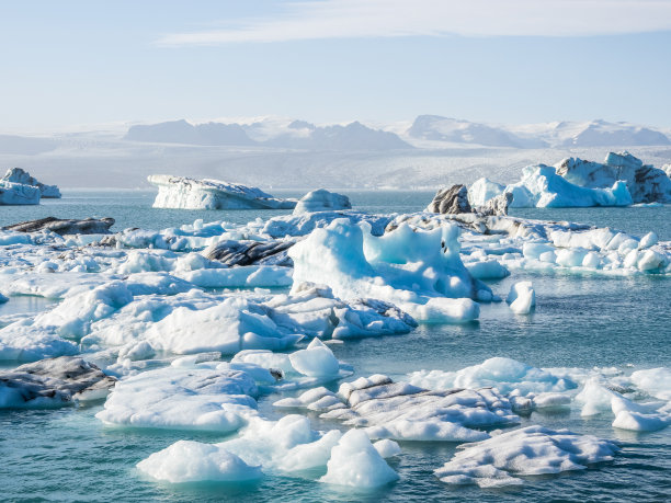 arctic