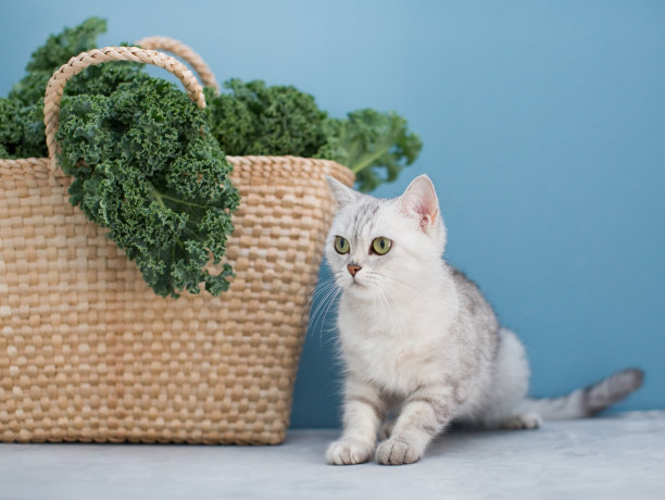 kale
