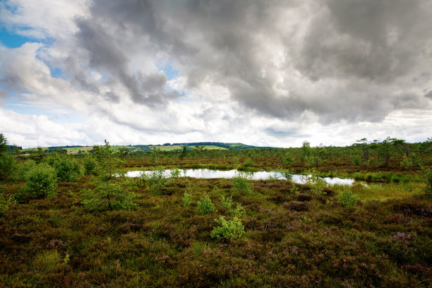 rhön