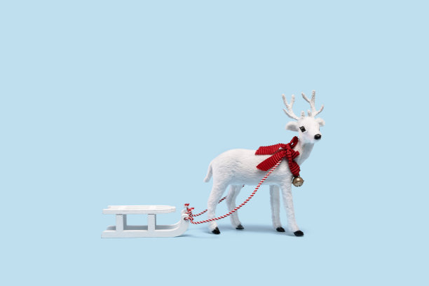reindeer
