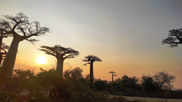 madagascar