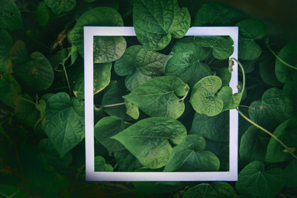 清新绿色方块背景图案