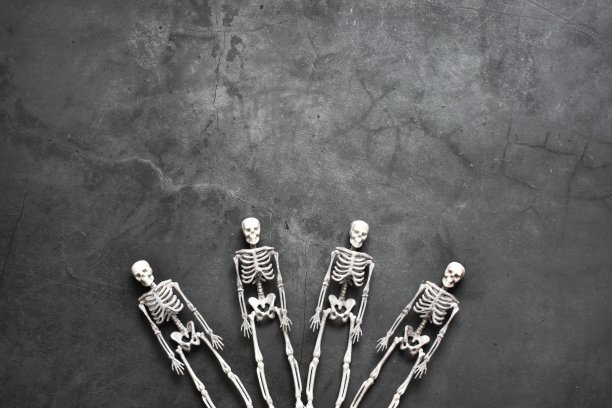 skeleton