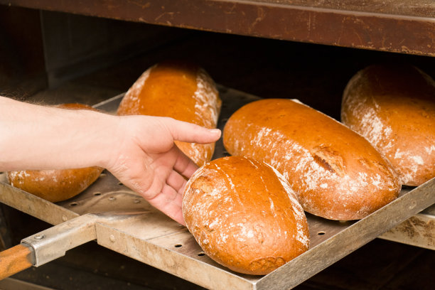 bake