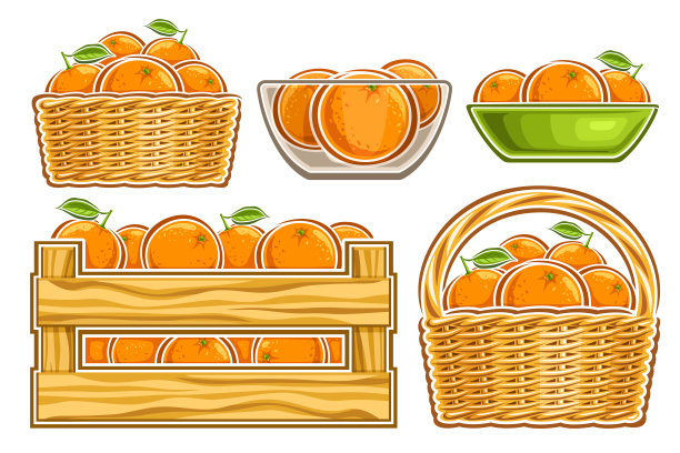 柚子水果箱