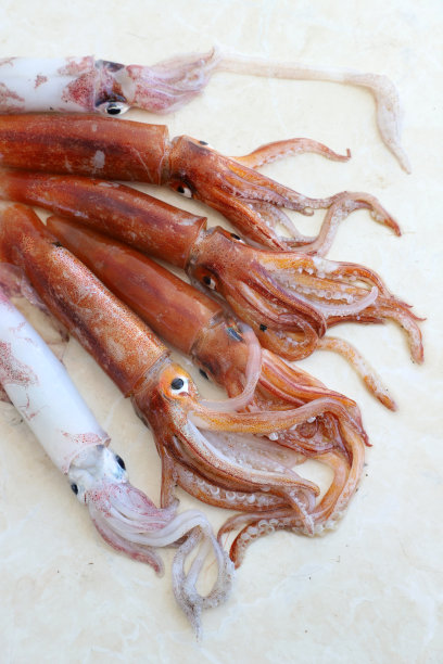 白肢虾