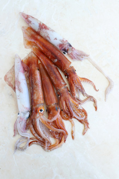 白肢虾