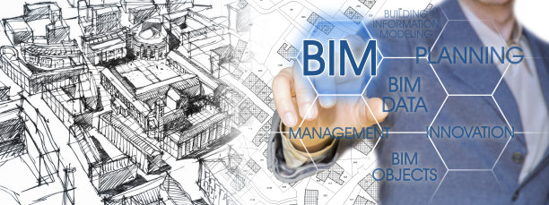 bim