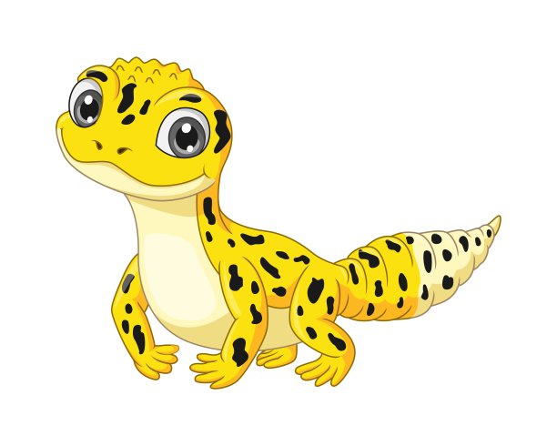 phelsuma