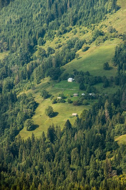户外蓝天白云草地树林图片