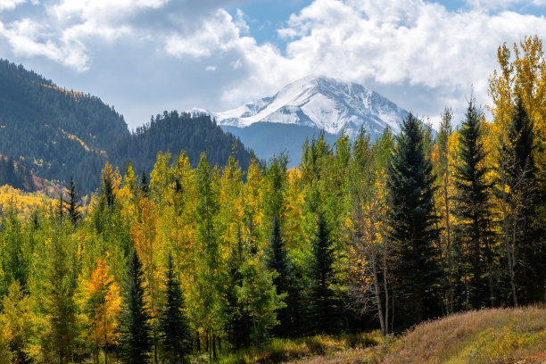 aspen