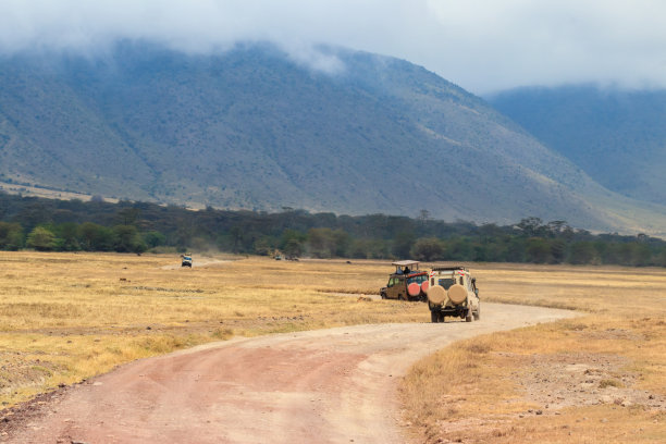 ngorongoro