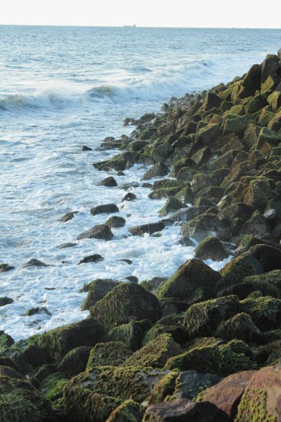 tide