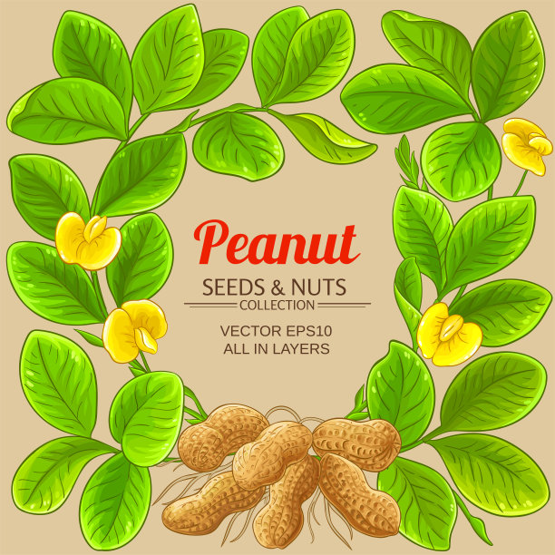peanut