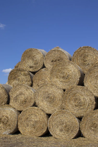 bale