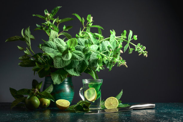 spearmint