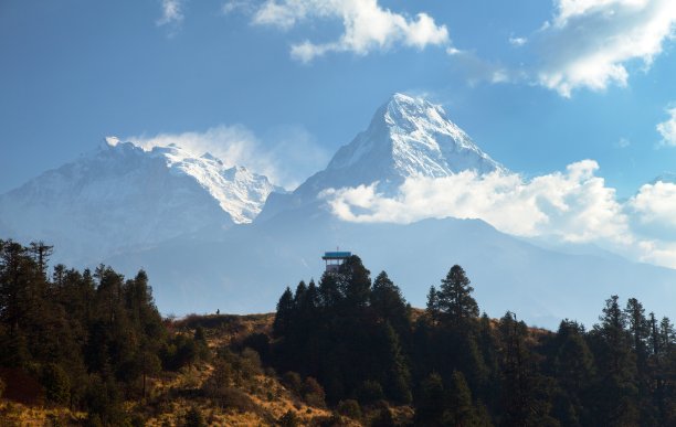 顶部模块