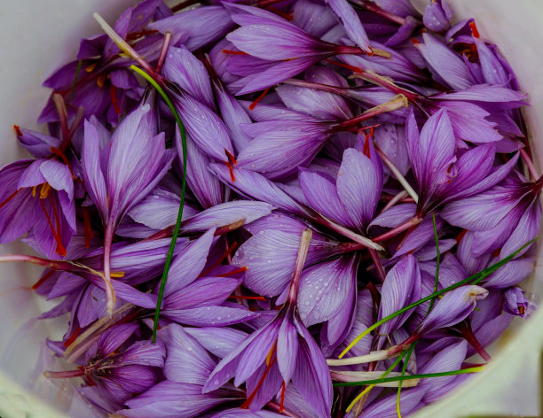 saffron