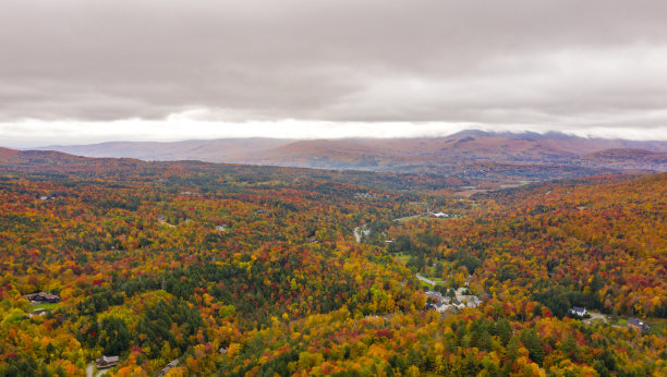 vt