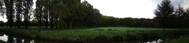 chantilly