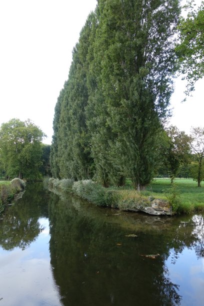 chantilly