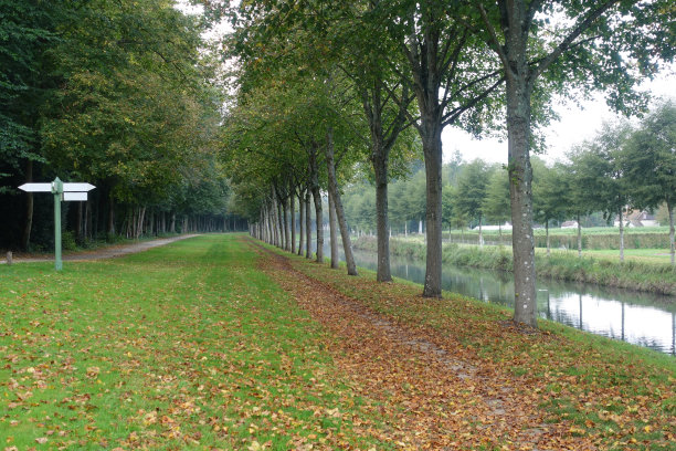 chantilly