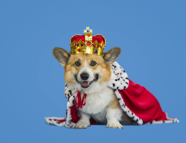 queen
