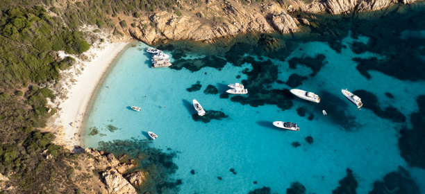 cervo