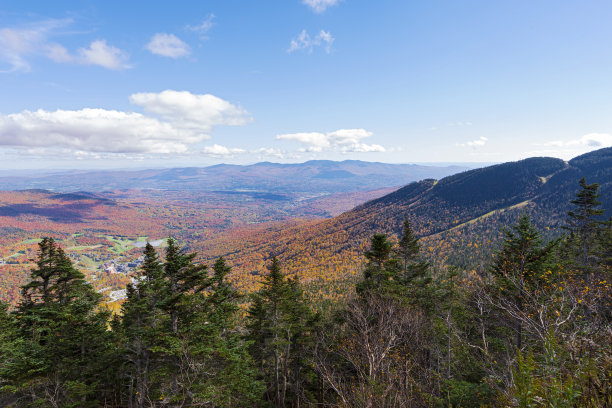 vt