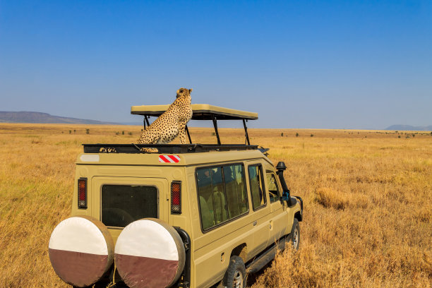 tanzania