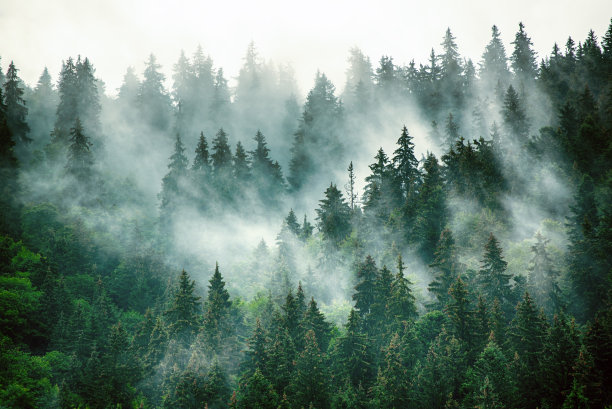 misty