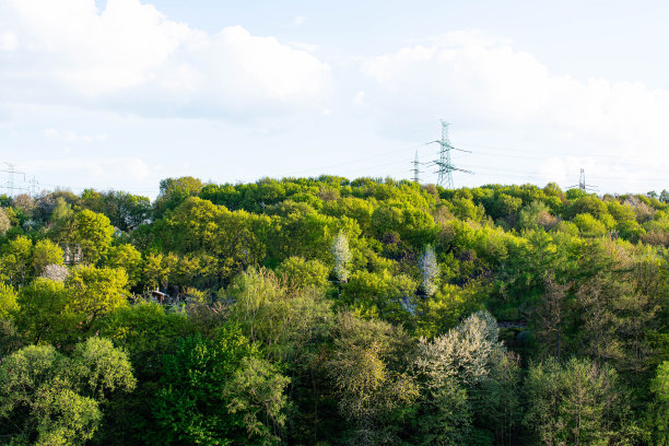 pylons